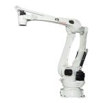 Palletizing Robots for sale