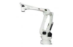 China Palletizing Robots supplier