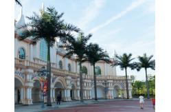China Royal 15m Artificial Coconut Palm Trees For Outdoor And Indoor supplier