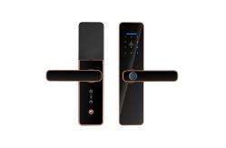 China Biometric Fingerprint Wifi Lock Tuya Zigbee TTlock Smart Digital Door lock supplier