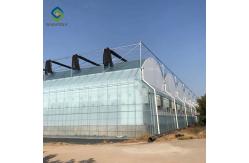China 33ft Pe Elasticity Elliptical Plastic Film Greenhouse supplier