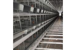 China SGS 3-10layers Automatic Poultry Feeding System H Shape Commercial Use supplier