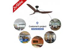 China 1stshine Ceiling Fan With Light Modern Plastic Blade Low Noise Dc Motor supplier