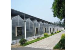 China Exhibition Venlo Greenhouse Structure , Polycarbonate Sheet Greenhouse High Output supplier