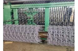 China 8x10cm 3.2mm Steel Hexagonal Wire Netting Gabion Box Slope Protection Wire Mesh supplier