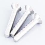 Coarse Thread Stainless Steel Flat Socket Cap Screw Various Sizes