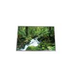B154PW01 V0 RGB 1440*900 110PPI a-Si TFT-LCD Screen for sale