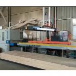 Automatic Wood Pellet Machine Loading Unloading Equipment ODM CNC Production Lines for sale