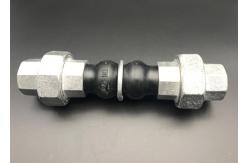 China BSPT Threaded Rubber Expansion Joint NPT Double Sphere Flex Connector Compensator supplier