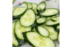 China 0.75KW 0.8 Tons / Hours Vegetable And Fruit Washing Machine supplier