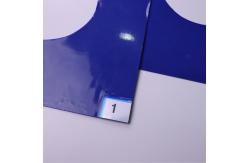 China LDPE 30 Layers Cleanroom Tracky Mat For Air Shower Wall supplier
