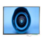 LTM12C505B 12.1 inch 1024*768 TFT-LCD Screen Display for sale