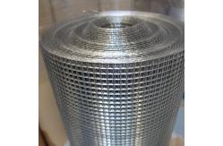 China 14 Gauge Welded Steel Wire Mesh Galvanized Square Netting In Roll And Sheet supplier