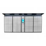 Stable Reliable Customizable Electronic Parcel Delivery Locker Public Place Use with Remote Control Function for sale