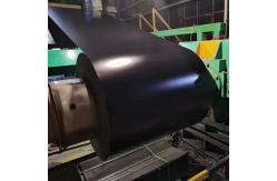 China Customized Length Prepainted Steel Coil Hot Dipped Galvanized 3-9 Tons supplier