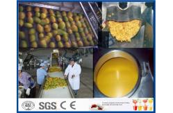 China Pineapple Mango Processing Line , Fruit Juice Mango Pulp Processing Plant supplier