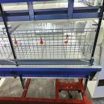 China Low Noise H Type Battery Cage For Broilers With Automatic Feeding System for sale