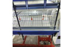 China Cold Galvanized Poultry Farm Cages For Broiler Chicken Breeding / Meat Broiler supplier