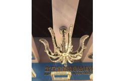 China Glass Lighting PVD Plating Machine , Crystal Chandelier  Multi Arc Vacuum Plating Equipment supplier