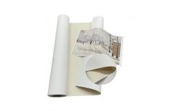 China Factory Sale Inkjet Cotton Canvas 360gsm Art Printing Canvas Roll supplier