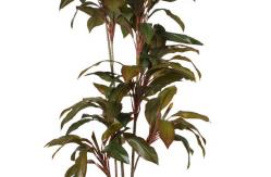 China Bonsai Stunning Cordyline Artificial Potted Floor Plants 190cm Height supplier
