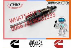 China ELIC Excavator 4062569 4928260 1846348 4954434 Engine Common Rail Fuel Injector supplier