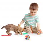 Interactive Kitten Plush Chew Ball Toys For Teething Chewing Toys