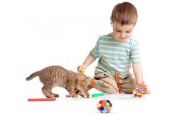 China Interactive Kitten Plush Chew Ball Toys For Teething Chewing Toys supplier