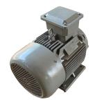 150kVA 125rpm 400V 50HZ Permanent Magnet Generator PMG For Renewable Energy for sale
