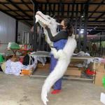 Rubber Dinosaur Hand Puppet Color Customized Manual Control