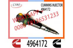 China Diesel injector assembly 2861749 4964170 4964171 4955525 4964172 for QSK19 supplier