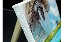 China Matte Sheepskin Effect Inkjet Receptive Coating For Wall Fabrics ASTM supplier