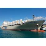 Hong Kong Departure LCL Container Shipping for All Kinds Of Goods Door To Door for sale