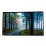 30ms Response Time 15.6'' Laptop Screen 10S4P WLED Backlight IPS TFT LCD Panel for sale