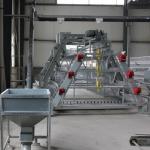Automatic Hot Galvanized Chicken Cages For Egg Layers Battery Cage Farming Equipment And Egg Collection Disin for sale