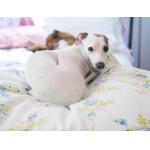 High Fill Power Household Duvets