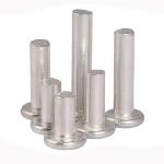 SUS304 / SUS316 Stainless Steel Flat Round Head Rivets Solid for sale
