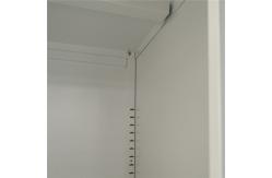 China Metal Office Storage Two Doors Cupboard With Adjustable Shelf supplier