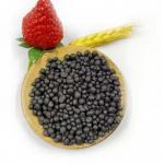 Effective Humic Acid Organic Fertilizer For Agricultural Applications And Optimal Plant Growth for sale