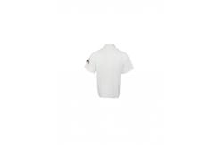 China 100% Polyester T-SHIRT & POLO Short Sleeve Men Sublimation Printing supplier
