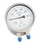 PTFE Protected Stainless Steel Pressure Gauge 316L Chamber Steel Diaphragm for sale