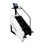 China Gym Equipment Fitness Machine Stepper Stairmaster Stair Climber for sale