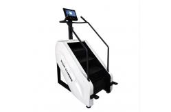 China Gym Equipment Fitness Machine Stepper Stairmaster Stair Climber supplier