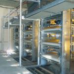 Zinc Alum Farm Cleaning Machine , 2.2kw 3kw H Type Layer Chicken Cage for sale
