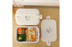 China Plastic Lunch Containers With 3 Compartments Dividers Lids supplier