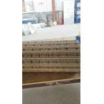                  Food Grade Customized Modular Plastic Conveyor Belt             