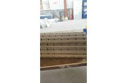 China                  Customized Straight Modular Plastic Conveyor Belt              supplier