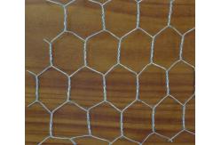 China Steel Hexagonal Wire Netting For Chicken / Ducks / Gooses / Rabbits Feeding supplier