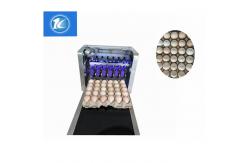 China Clear Pattern Eggs Inkjet Batch Coding Machine With ABC Standard English Font supplier