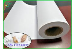China 80gsm High Whiteness Roll Plotter CAD Plain Paper Of 36 Inch 42 Inch supplier
